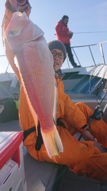 だて丸 釣果