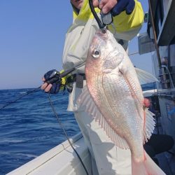 だて丸 釣果