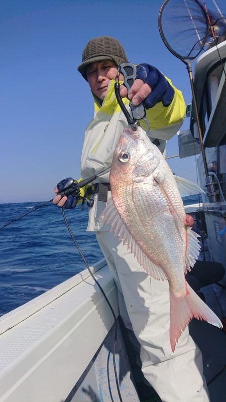 だて丸 釣果