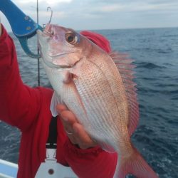 新幸丸 釣果