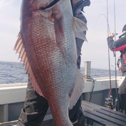 だて丸 釣果