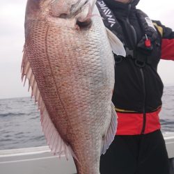 だて丸 釣果