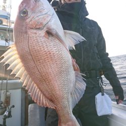 だて丸 釣果