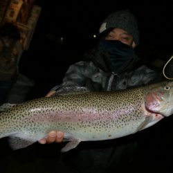 としまえんフィッシングエリア 釣果