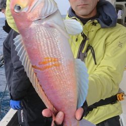 宝生丸 釣果