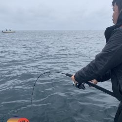 幕島丸 釣果