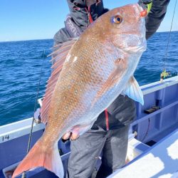 新幸丸 釣果