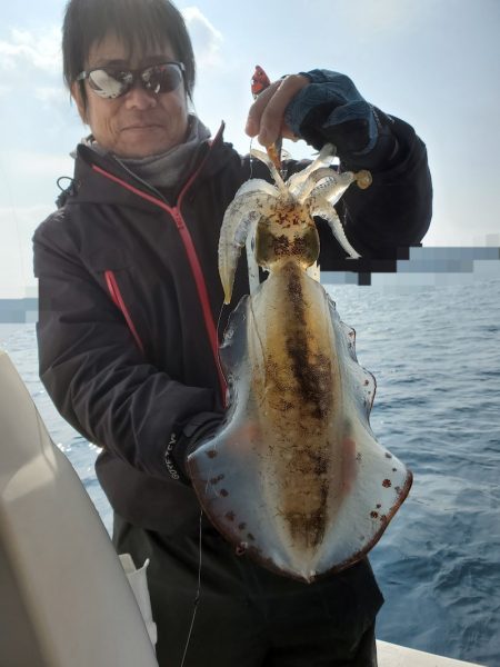 ソルトウォーターガイドフレンズ 釣果