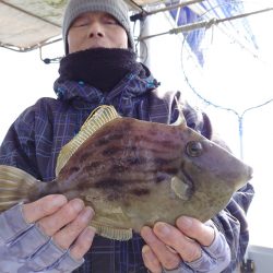 ブルースフィッシングサービス 釣果