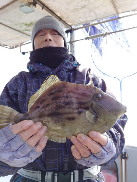 ブルースフィッシングサービス 釣果