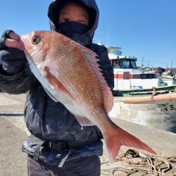 富士丸 釣果