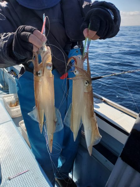 春盛丸 釣果