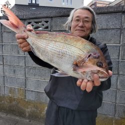 富士丸 釣果