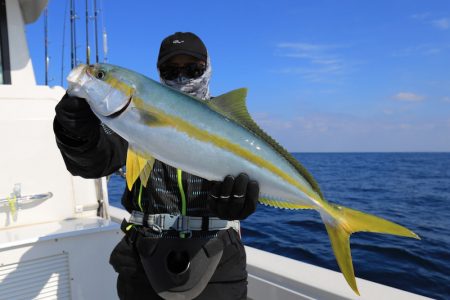 クルーズ 釣果