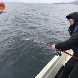 幕島丸 釣果