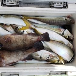 海龍丸（石川） 釣果