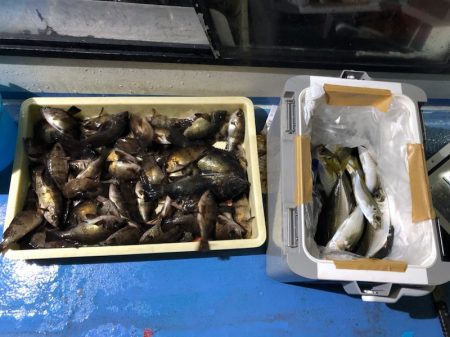 ヤザワ渡船 釣果