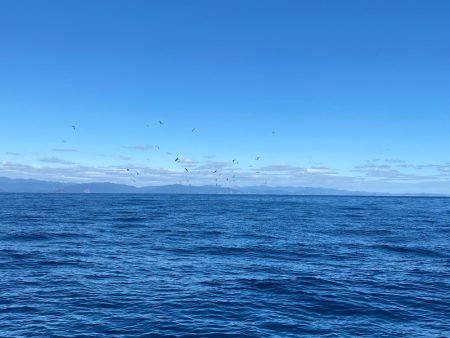 和栄丸 釣果