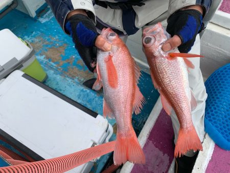 ぽん助丸 釣果