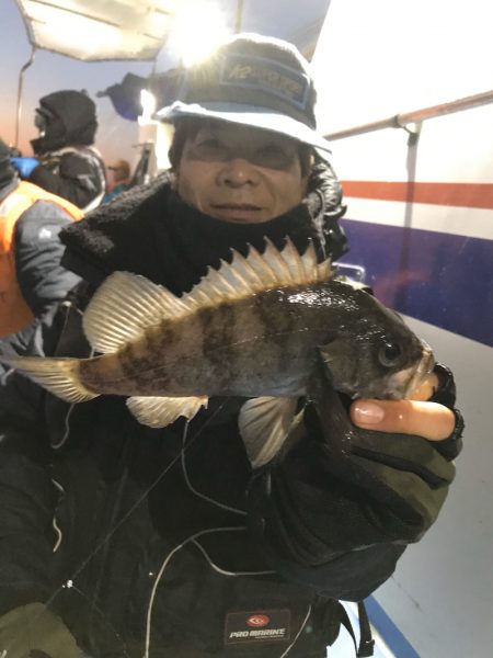 ヤザワ渡船 釣果