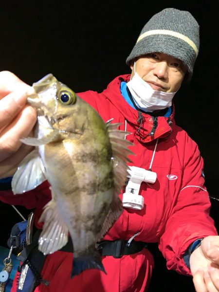 ヤザワ渡船 釣果