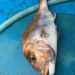 太平丸 釣果