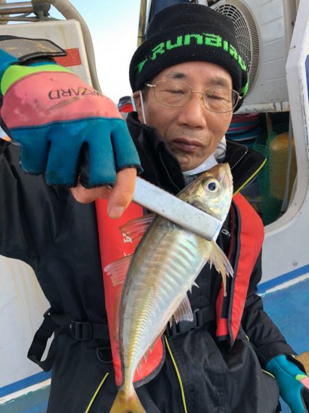 ヤザワ渡船 釣果