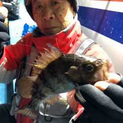 ヤザワ渡船 釣果