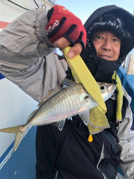 ヤザワ渡船 釣果