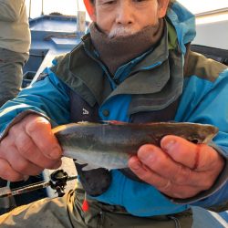 ヤザワ渡船 釣果