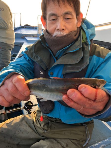 ヤザワ渡船 釣果