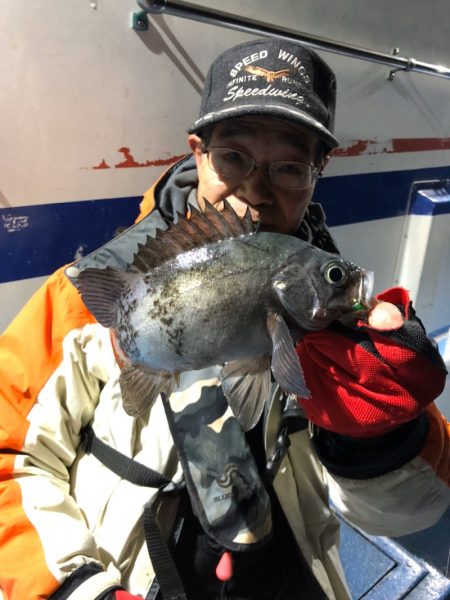 ヤザワ渡船 釣果