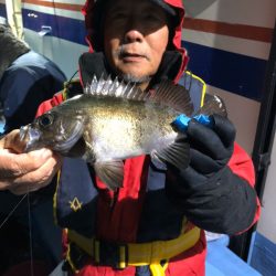 ヤザワ渡船 釣果