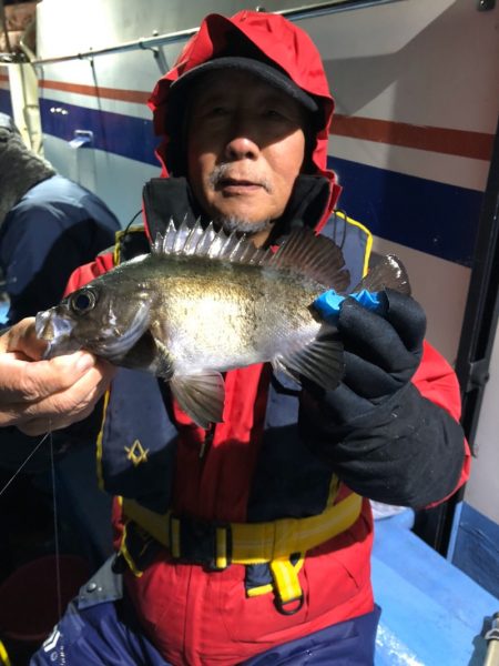 ヤザワ渡船 釣果