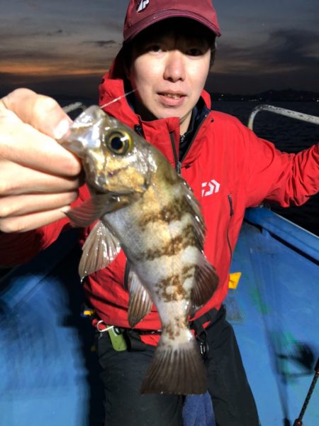 ヤザワ渡船 釣果