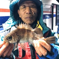 ヤザワ渡船 釣果