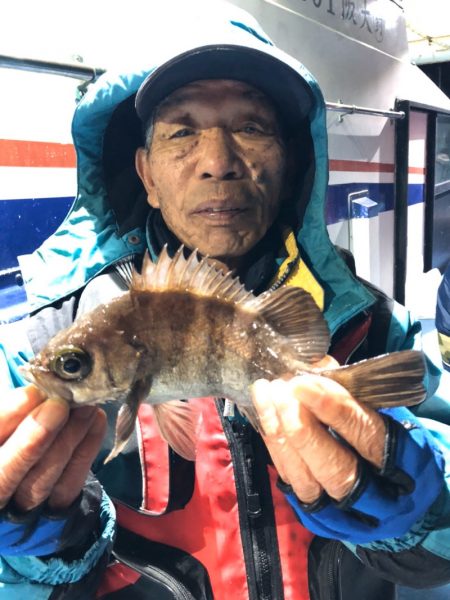 ヤザワ渡船 釣果