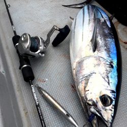 渡船屋たにぐち 釣果