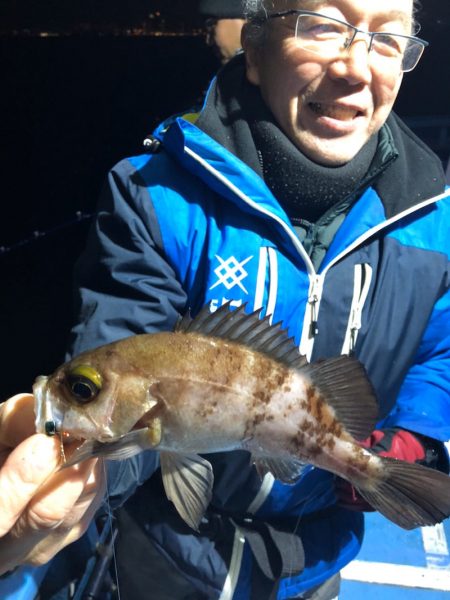 ヤザワ渡船 釣果