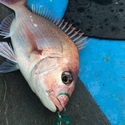 太平丸 釣果