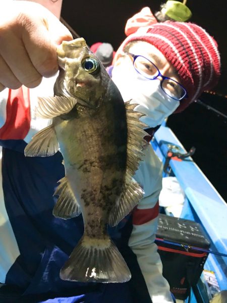 ヤザワ渡船 釣果