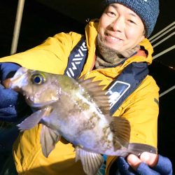 ヤザワ渡船 釣果