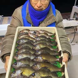 釣人家 釣果