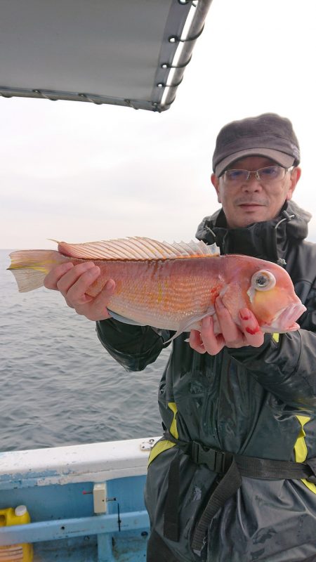 幸栄丸 釣果