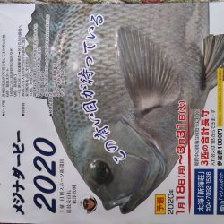 宮島丸 釣果