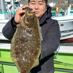 ゆたか丸 釣果