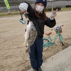 デイチニングでキビレ❗