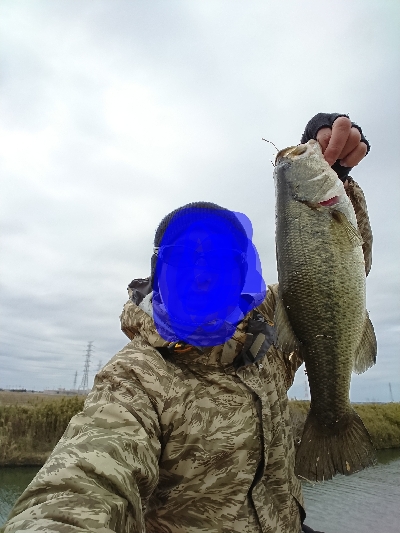 またグリマーで1本