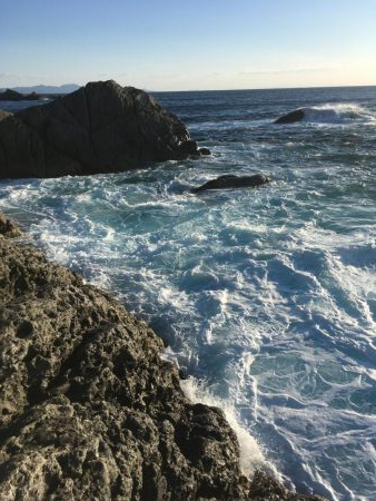 大島ミッチャの釣果