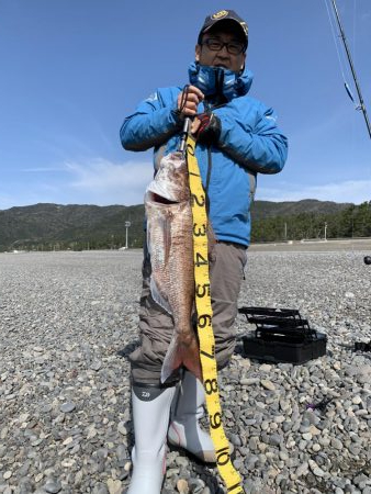 ショアジギング で巨大な真鯛78センチ5 0キロ 和歌山県 煙樹ヶ浜 ショアジギング マダイ 陸っぱり 釣り 魚釣り 釣果情報サイト カンパリ